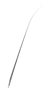Anima logo